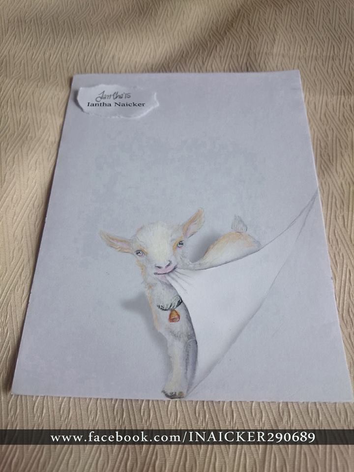 藝術家筆下被筆記本纏住的小動物,看完前3張就已經被深深萌住了!