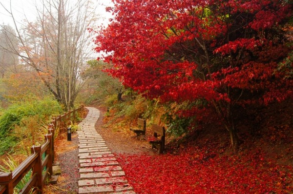 全台10大爆紅景點是哪些? 你去過幾個呢「歪腰郵筒」拿下第一