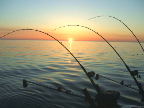 釣技:這10個冬天釣魚技巧你知道幾個?