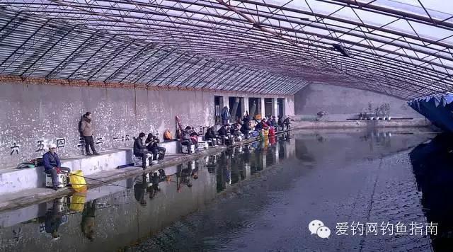 釣技:這10個冬天釣魚技巧你知道幾個?