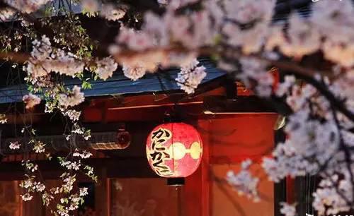 悠視界:你必須要知道日本的民宿有多美!