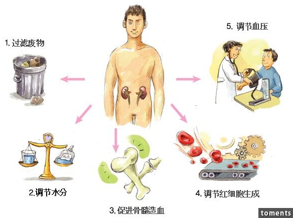 從「頭髮」就能一眼看出你的「腎臟」好不好！「少年白」原來代表著..... 看完後我整個快嚇死！請立即擴散！
