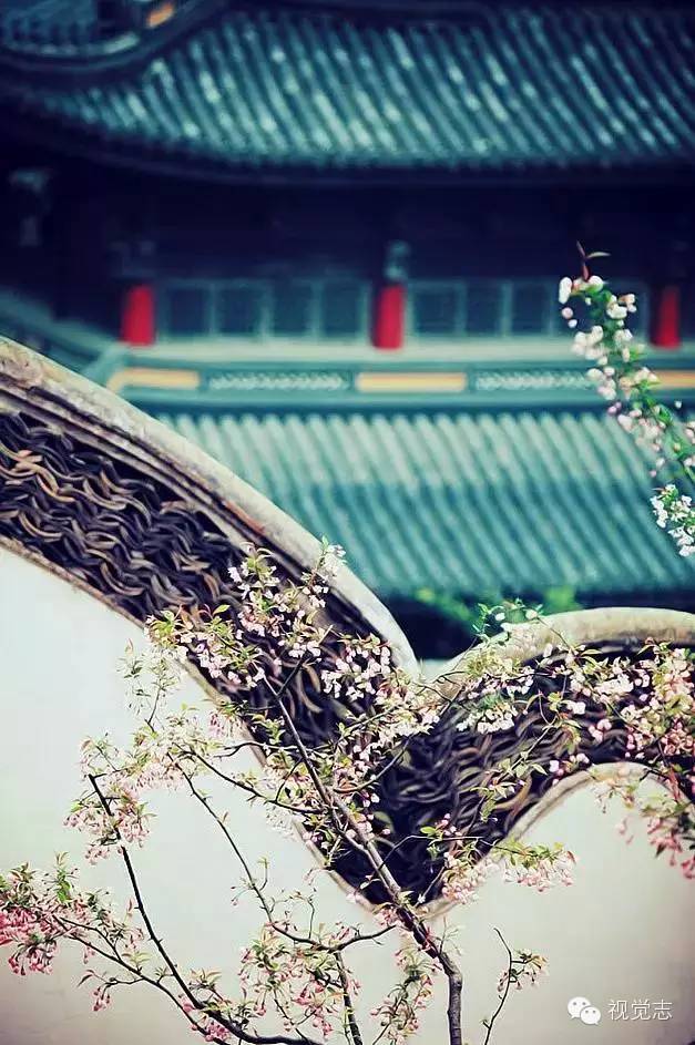 曾經驚艷世界的中國民宅,卻即將消失……