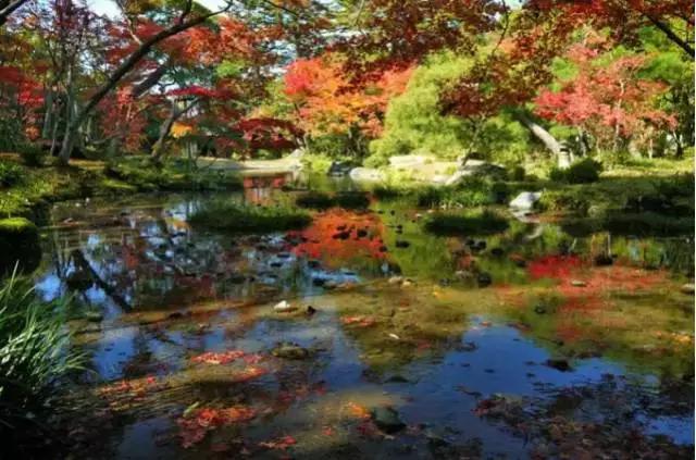 風景氛圍美如畫的日本庭院