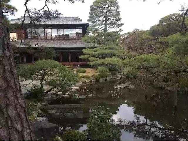 風景氛圍美如畫的日本庭院