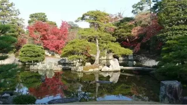 風景氛圍美如畫的日本庭院