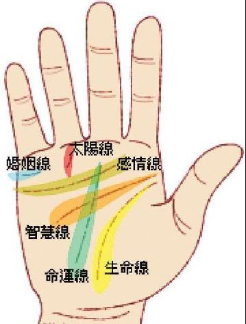 難怪自己存不了錢，原來跟手相有關係啊