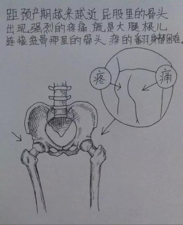 老婆辛苦懷孕生子,老公妙筆點滴記錄,看哭千萬人!