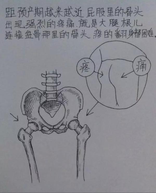 老婆辛苦懷孕生子，老公妙筆點滴記錄，看哭千萬人！