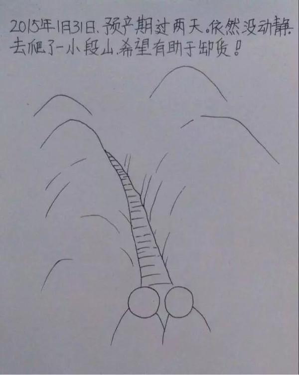 老婆辛苦懷孕生子,老公妙筆點滴記錄,看哭千萬人!