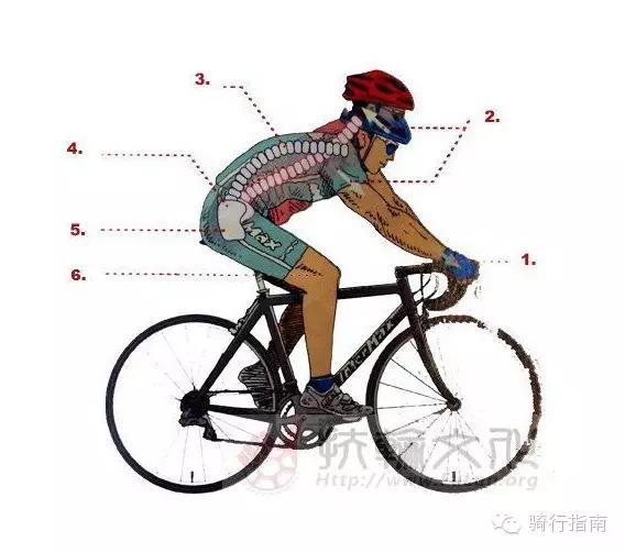 這些基本騎行技巧，讓你受益終身