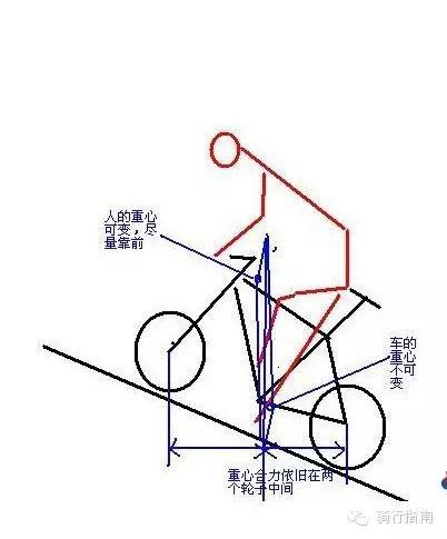 這些基本騎行技巧，讓你受益終身