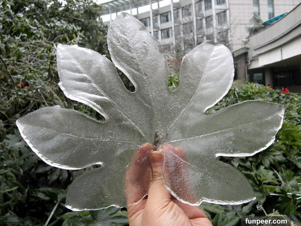 這些照片，活到500歲也不一定見過,太美了！今生有緣人才看到！