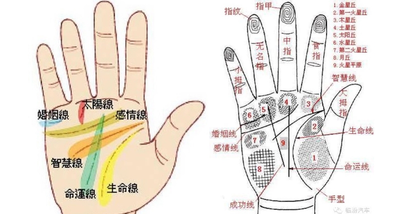 快伸出手看看.说不定会吓到喔!