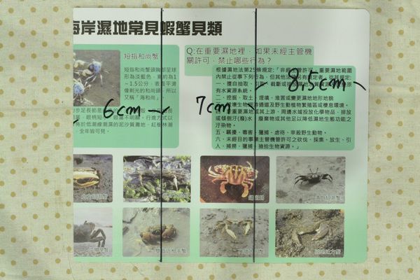 實用的平板袋兼平板架