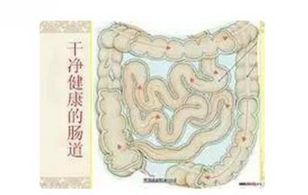 教你一招!早晨清腸、除口臭、大肚腩!弄完後我整個人像小寶寶一樣乾淨!