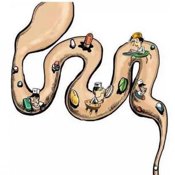 教你一招!早晨清腸、除口臭、大肚腩!弄完後我整個人像小寶寶一樣乾淨!