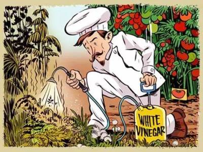 超實用!裝水果的「網袋」竟有這個神奇妙用,扔掉就虧大了!趕快收集起來!!