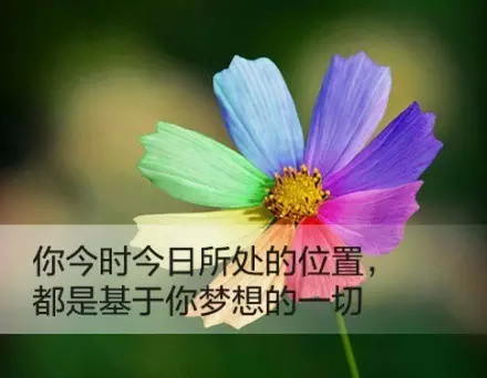 馬雲:我很想做直銷,但我沒錢。震撼在座的每個人!
