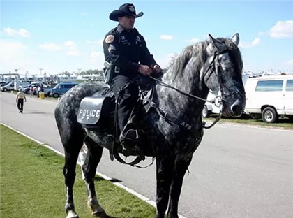 警界最強超跑! 除了阿布達比1900萬的超跑,各國警車技術到底哪家強?最後一個是團購的吧....