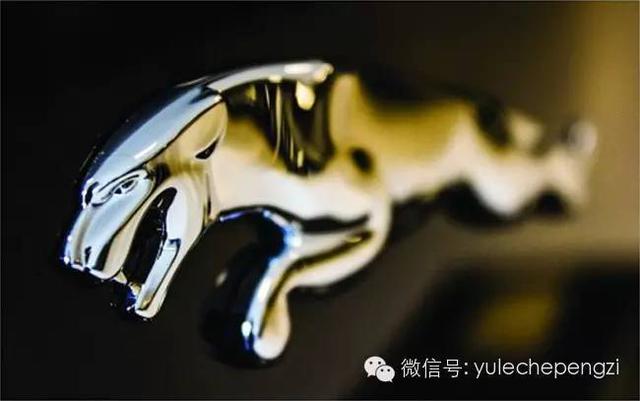 沒有這些動物 世上就沒有這些車!