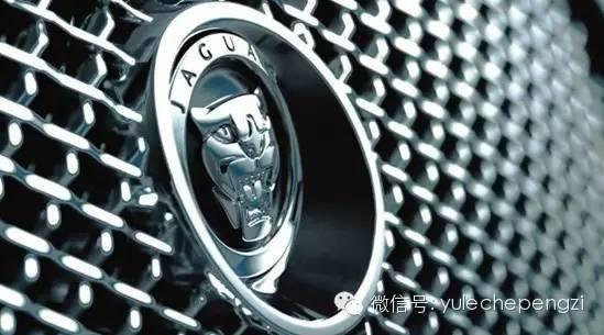 沒有這些動物 世上就沒有這些車!