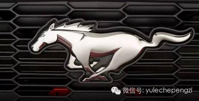 沒有這些動物 世上就沒有這些車!
