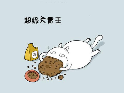 12類型喵星人 快看看你家的屬於哪一種!