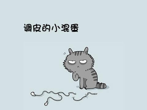 12類型喵星人 快看看你家的屬於哪一種!