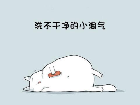 12類型喵星人 快看看你家的屬於哪一種!