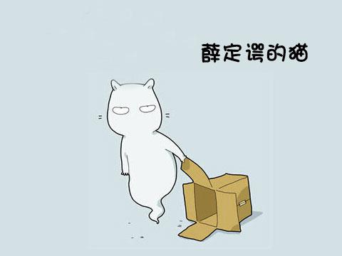 12類型喵星人 快看看你家的屬於哪一種!
