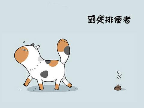 12類型喵星人 快看看你家的屬於哪一種!