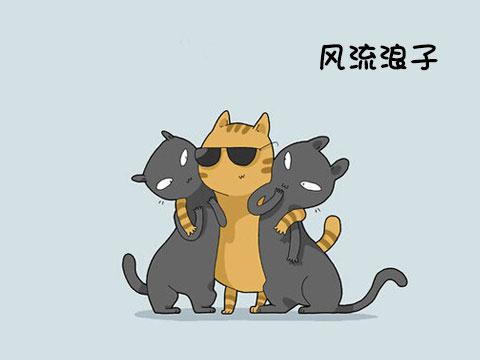 12類型喵星人 快看看你家的屬於哪一種!