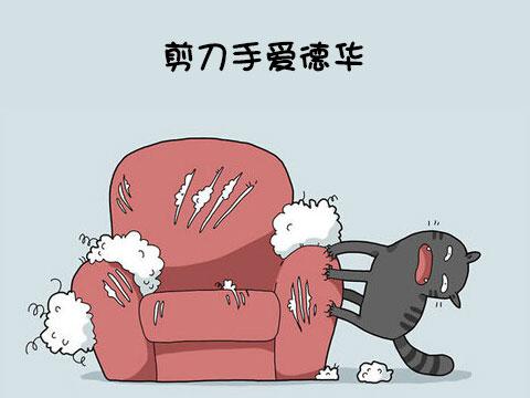 12類型喵星人 快看看你家的屬於哪一種!