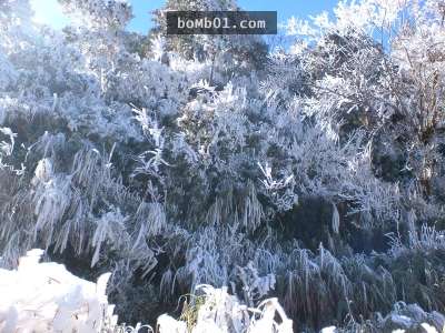 霸王寒流的影響下各地瑞雪紛飛,一片雪白的美景讓人不敢相信自己在台灣啊!