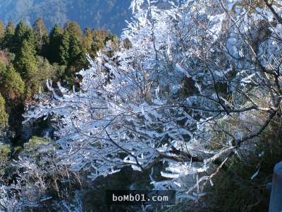 霸王寒流的影響下各地瑞雪紛飛,一片雪白的美景讓人不敢相信自己在台灣啊!