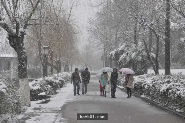 霸王寒流的影響下各地瑞雪紛飛,一片雪白的美景讓人不敢相信自己在台灣啊!