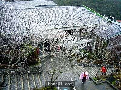 霸王寒流的影響下各地瑞雪紛飛,一片雪白的美景讓人不敢相信自己在台灣啊!