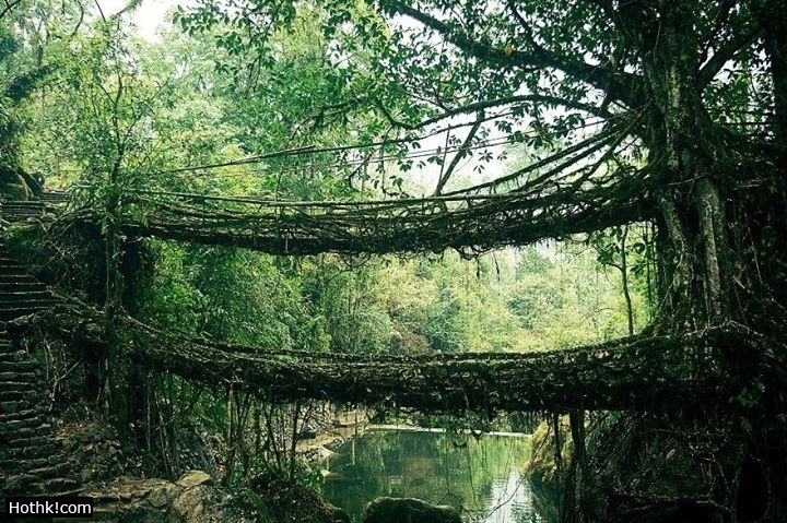 世界上最夢幻的20座橋 第一名竟然在台灣!