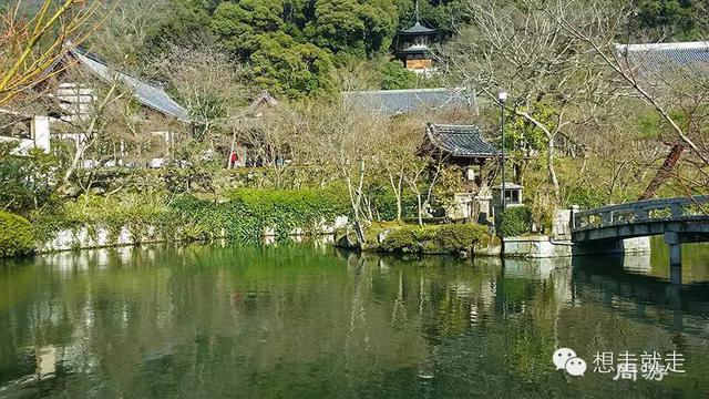 待到櫻花爛漫時,約上三五好友去日本吧!