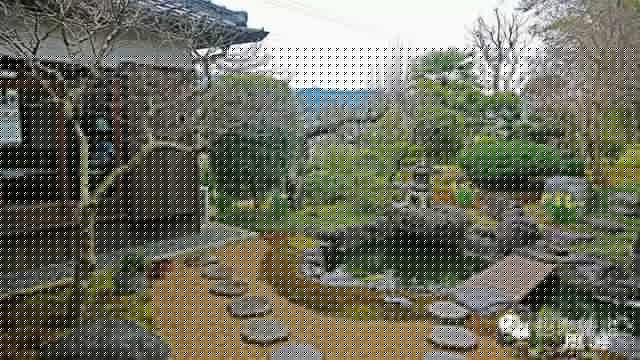 待到櫻花爛漫時,約上三五好友去日本吧!