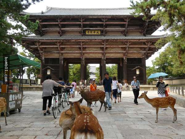 【日本非去不可的城市!】網友票選10大最愛去旅遊的城市!去過這些地方才算是去過Japan喲~