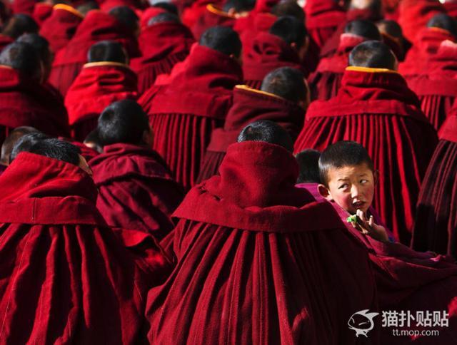 驚呆了! 從未見過如此美麗的香格里拉——聖境甘南 帶你眼睛去旅行!