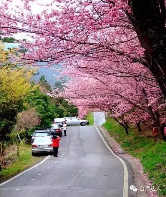 就算去過台灣,這些地方你肯定沒去過,超贊台灣小眾旅行攻略