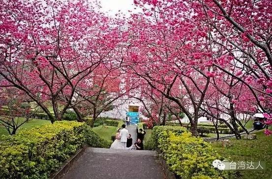 就算去過台灣,這些地方你肯定沒去過,超贊台灣小眾旅行攻略