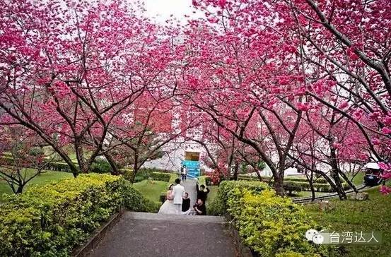 就算去過台灣，這些地方你肯定沒去過，超贊台灣小眾旅行攻略