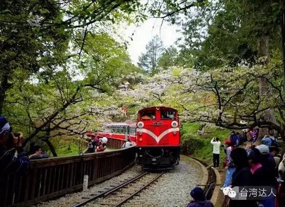 就算去過台灣,這些地方你肯定沒去過,超贊台灣小眾旅行攻略