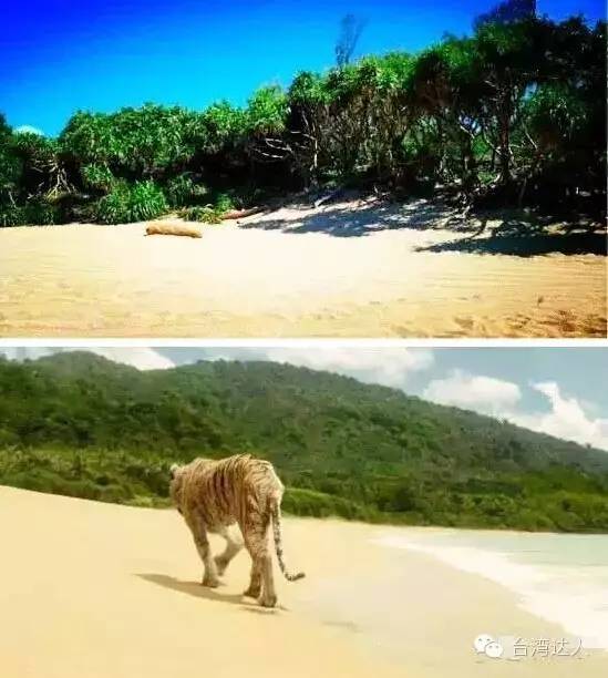 就算去過台灣,這些地方你肯定沒去過,超贊台灣小眾旅行攻略