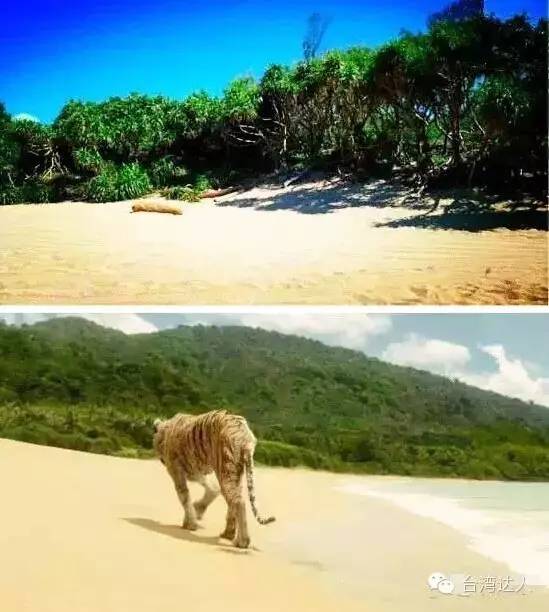 就算去過台灣，這些地方你肯定沒去過，超贊台灣小眾旅行攻略