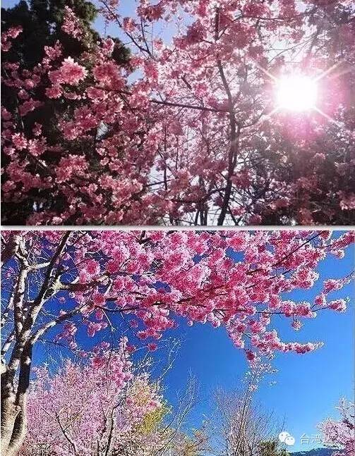 就算去過台灣,這些地方你肯定沒去過,超贊台灣小眾旅行攻略